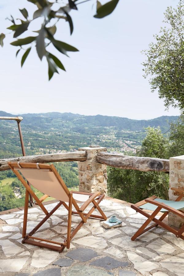 Casa Berti - Urlaub Im Olivenhain Camaiore Dış mekan fotoğraf