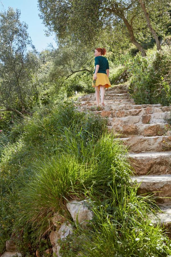 Casa Berti - Urlaub Im Olivenhain Camaiore Dış mekan fotoğraf